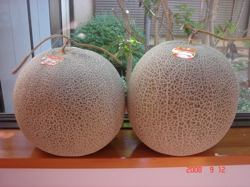 �������������[��