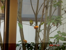 �������������[��