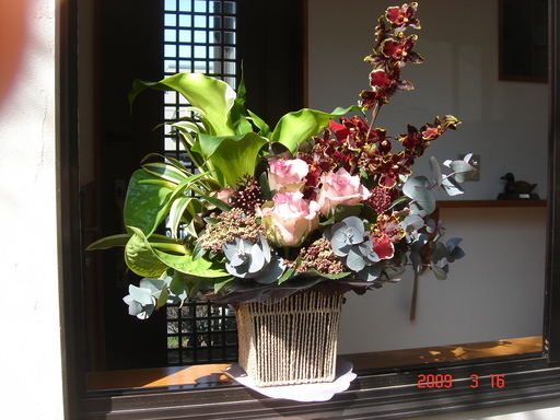 �������������[��