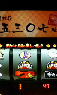 �x�t�s�`�R�f�r�@�g�n�l�d