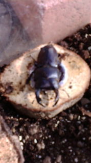 �x�t�s�`�R�f�r�@�g�n�l�d