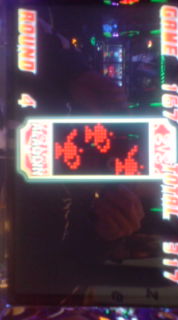 �x�t�s�`�R�f�r�@�g�n�l�d