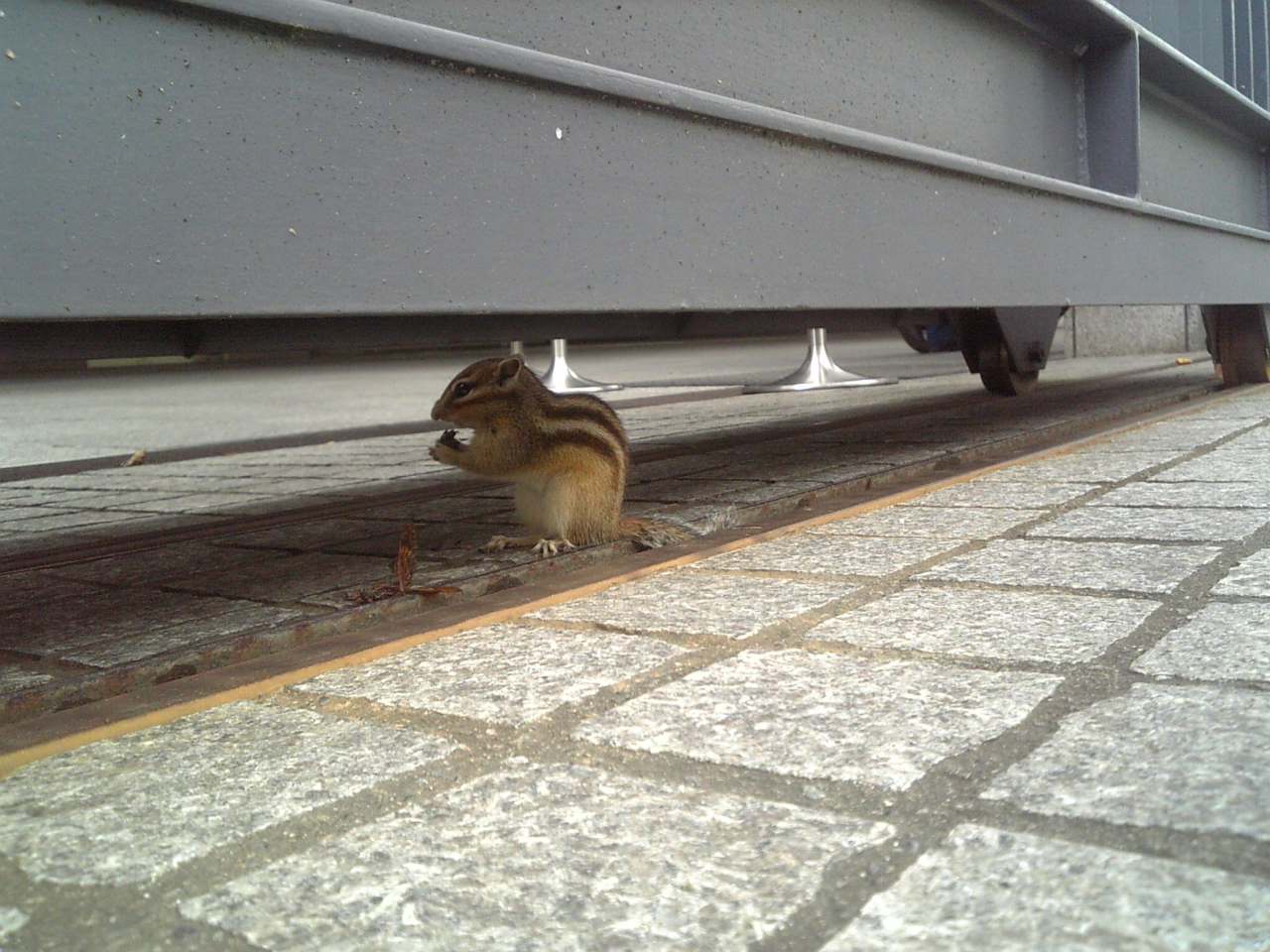 �x�t�s�`�R�f�r�@�g�n�l�d