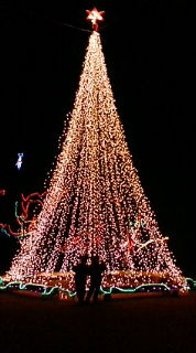 �x�t�s�`�R�f�r�@�g�n�l�d