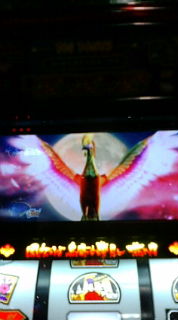 �x�t�s�`�R�f�r�@�g�n�l�d